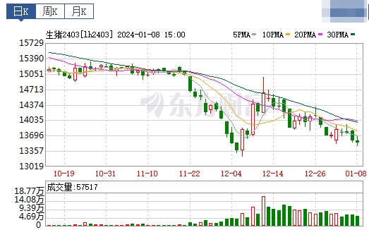 2024.01.09今日猪价