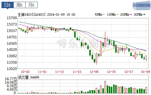 2024.01.10今日猪价