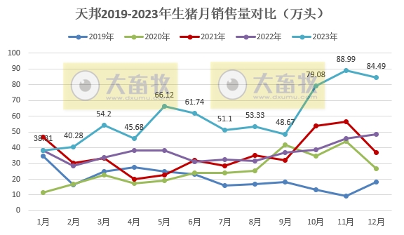 天邦食品：2023年度生猪销量突破700万头收入97亿元，均创历史新高