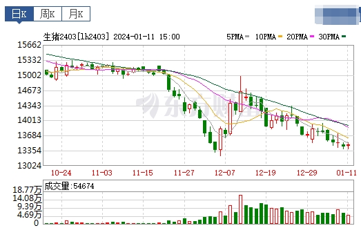 2024.01.12今日猪价