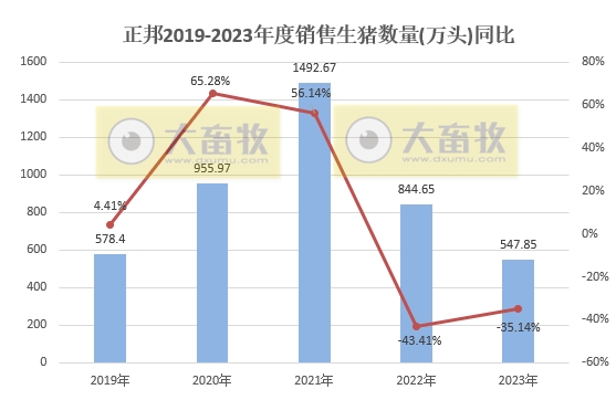 正邦科技2023年12月及年度生猪销售情况