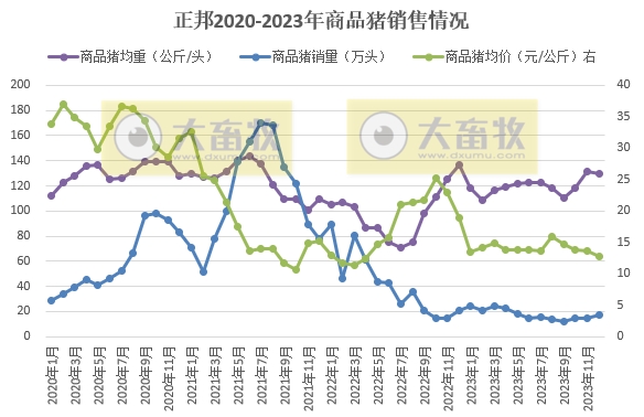 正邦科技2023年12月及年度生猪销售情况
