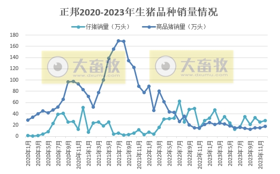 正邦科技2023年12月及年度生猪销售情况