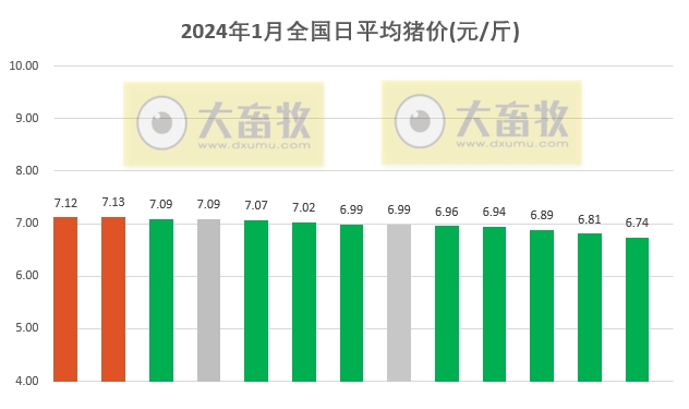 2024.01.13今日猪价