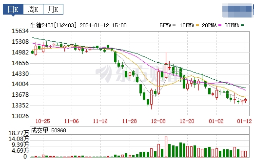 2024.01.13今日猪价