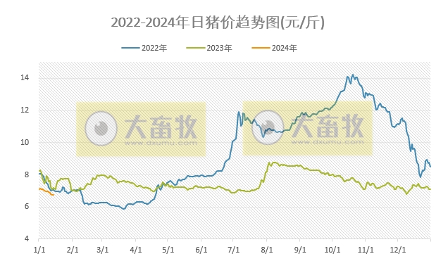 2024.01.14今日猪价