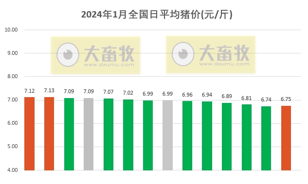 2024.01.14今日猪价