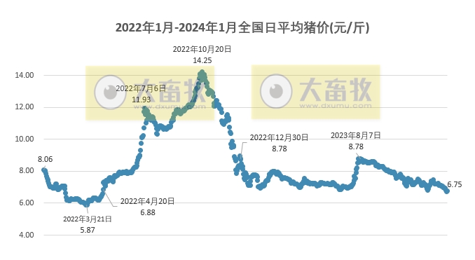 2024.01.14今日猪价