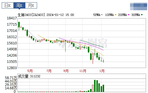 2024.01.14今日猪价