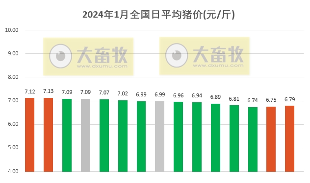 2024.01.15今日猪价