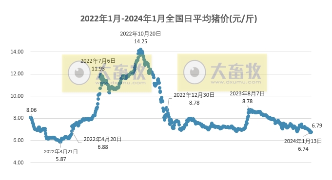 2024.01.15今日猪价