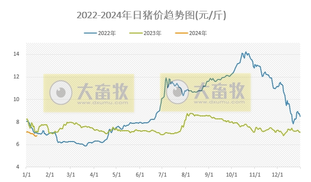 2024.01.15今日猪价