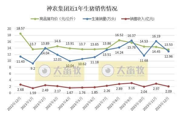 华统、京基和神农2023年度生猪销售情况
