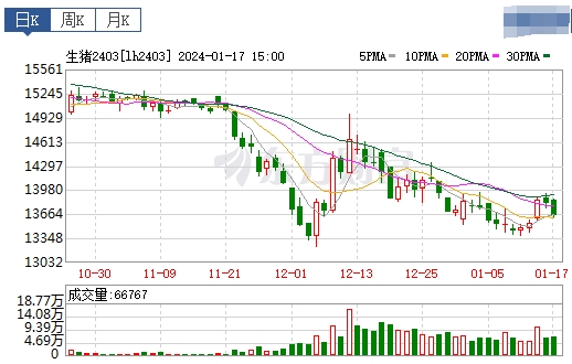 2024.01.18今日猪价