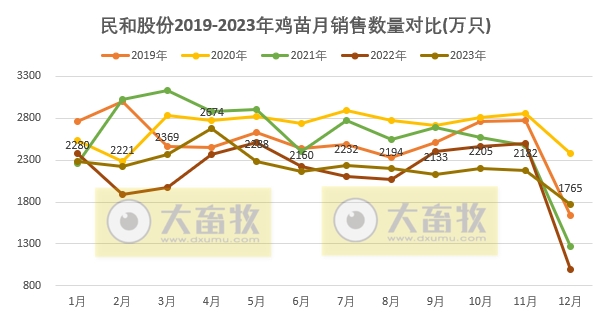 民和股份2023年12月及年度鸡苗销售情况