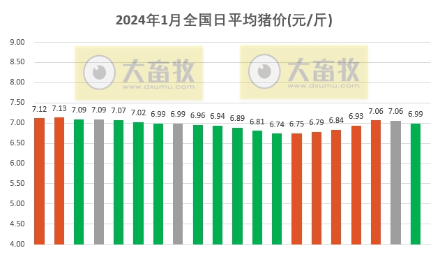 2024.01.20今日猪价