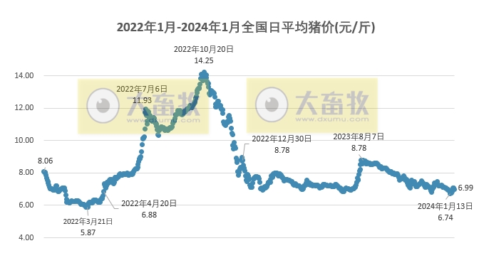2024.01.20今日猪价