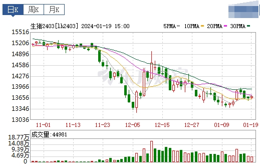 2024.01.20今日猪价