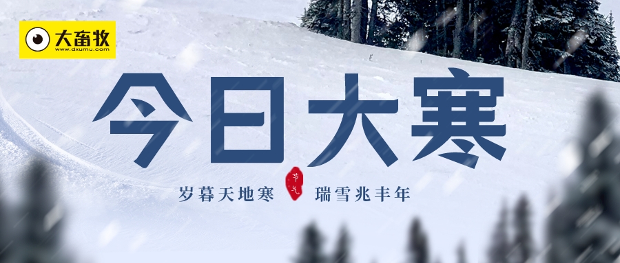 2024.01.20今日猪价