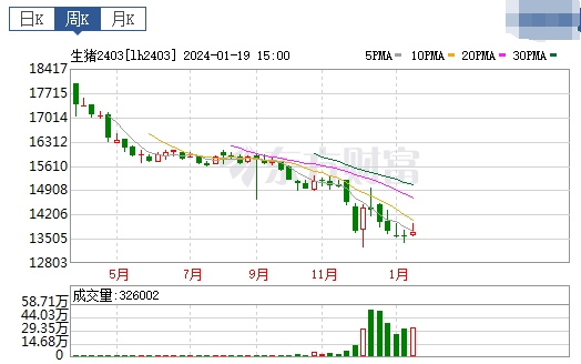 2024.01.21今日猪价