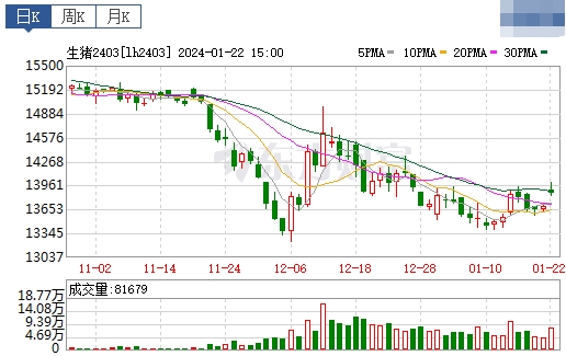 2024.01.23今日猪价