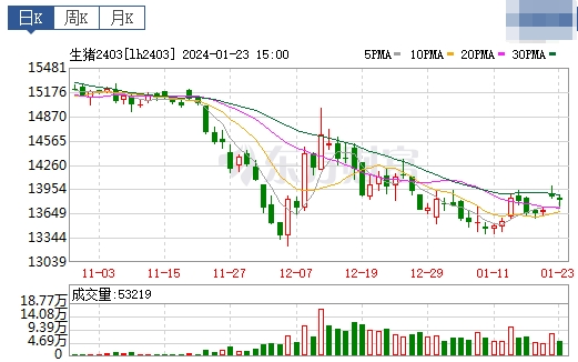 2024.01.24今日猪价