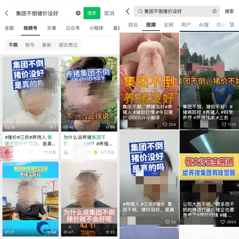 流量红利,影响下行猪周期?