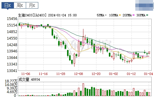 2024.01.25今日猪价