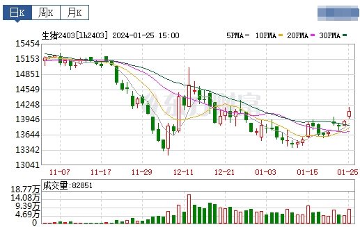 2024.01.26今日猪价