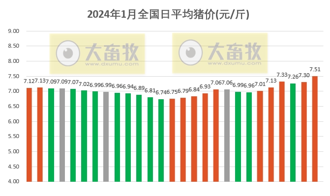 2024.01.27今日猪价
