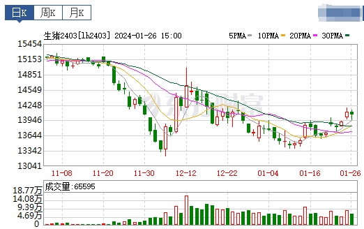 2024.01.27今日猪价