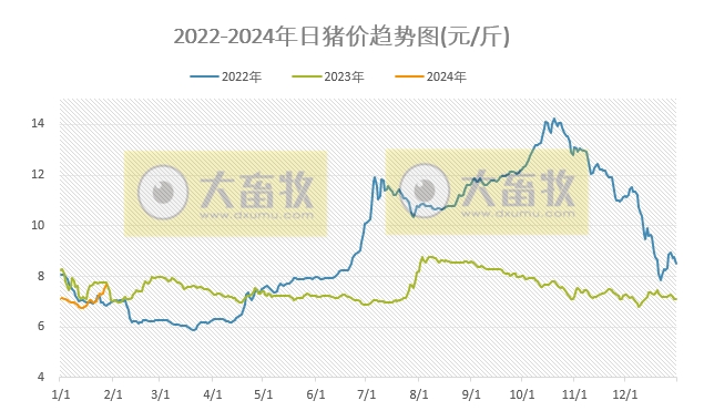 2024.01.28今日猪价