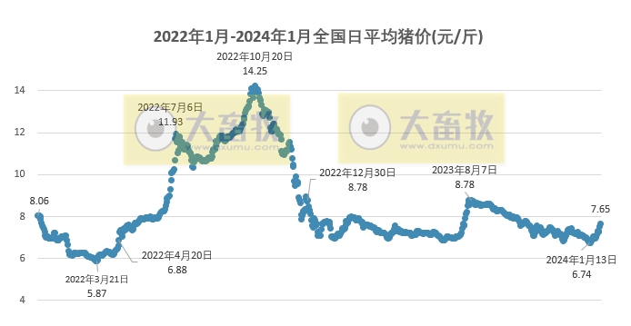 2024.01.28今日猪价