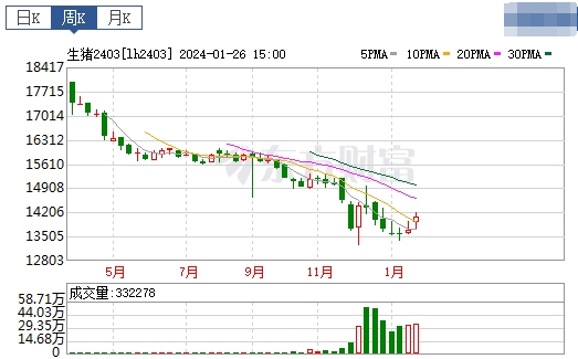 2024.01.28今日猪价