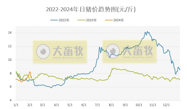 2024.02.05今日猪价