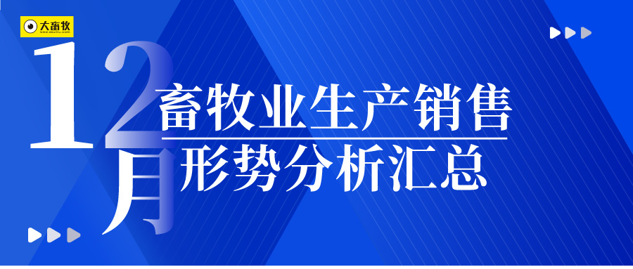【畜牧业月报】2024年12月及年度畜牧业生产销售形势分析汇总