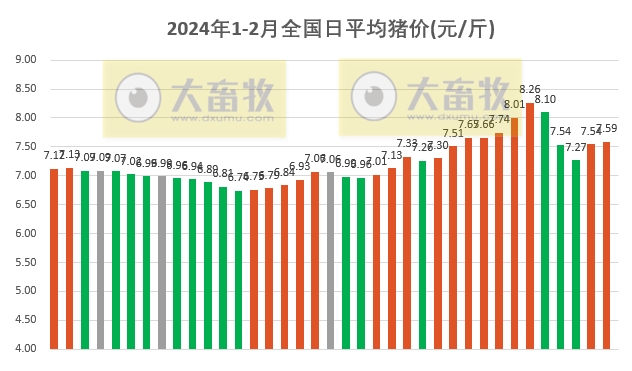2024.02.06今日猪价