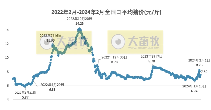 2024.02.06今日猪价