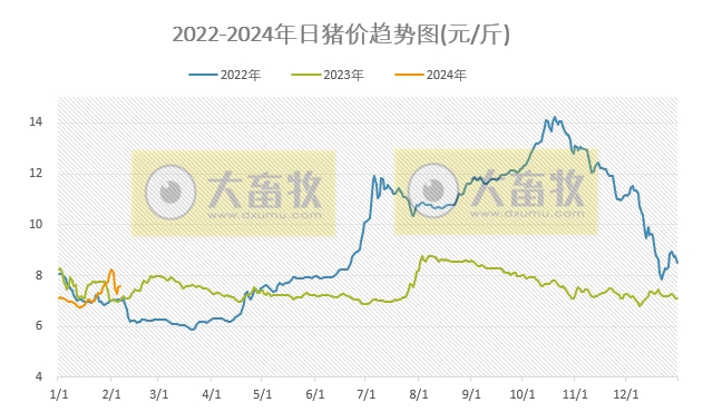 2024.02.06今日猪价