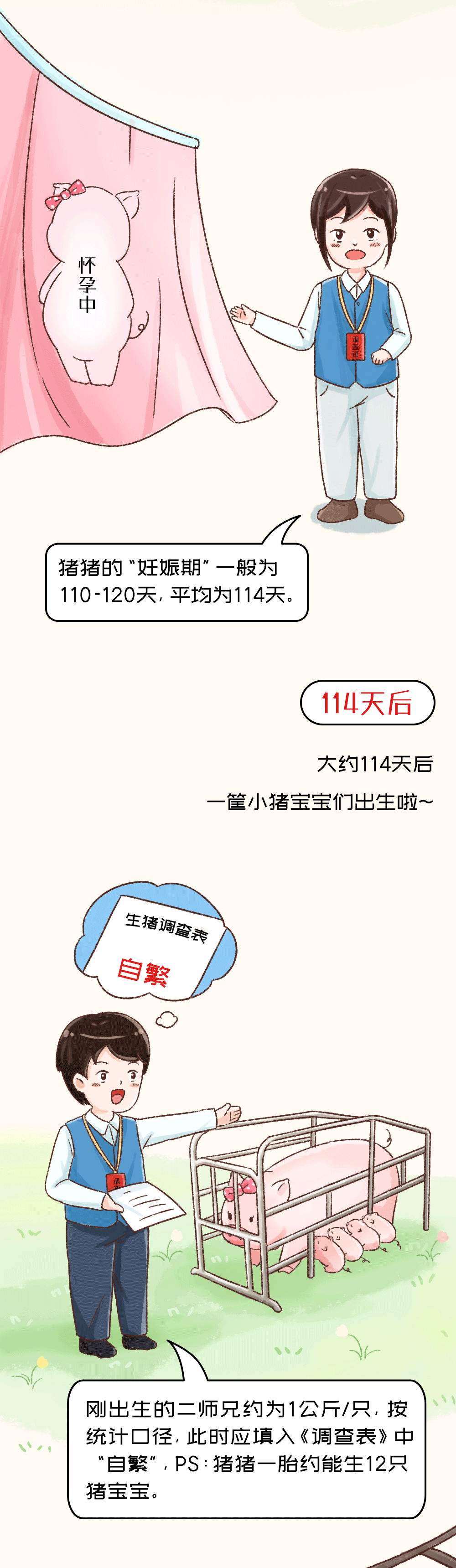 “二师兄”的成长轨迹，非常清楚！