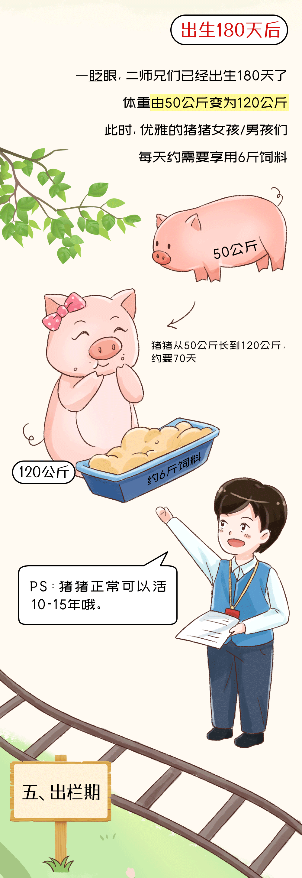 “二师兄”的成长轨迹，非常清楚！