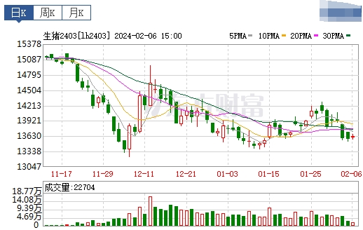 2024.02.07今日猪价