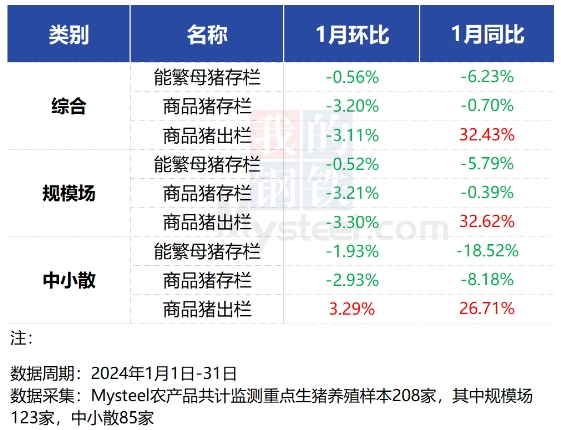 2024年1月规模场和中小散的能繁母猪和商品猪存栏量同环比均出现下降