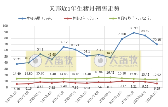 温氏、新希望和天邦2024年1月生猪销售情况