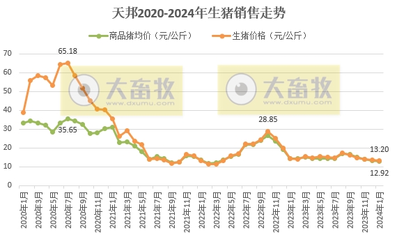 温氏、新希望和天邦2024年1月生猪销售情况