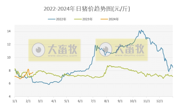 2024.02.12今日猪价