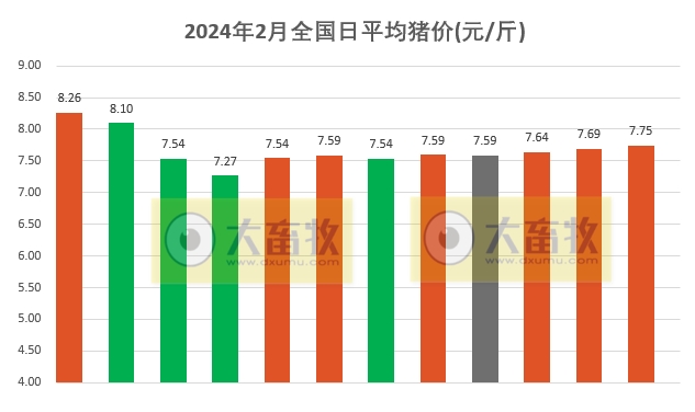 2024.02.12今日猪价