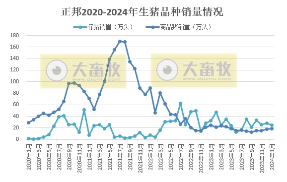 大北农、正邦和中粮2024年1月生猪销售情况