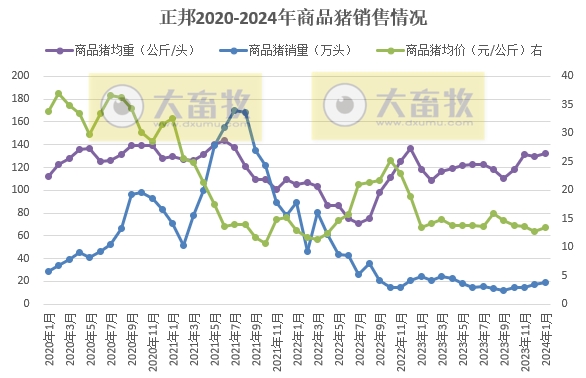 大北农、正邦和中粮2024年1月生猪销售情况
