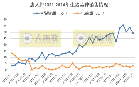 唐人神、华统、天康和京基2024年1月生猪销售情况